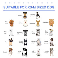 Pawhut Dog Swimming Pool Foldable Pet Bathing Shower Tub Padding Pool 100cm Medium