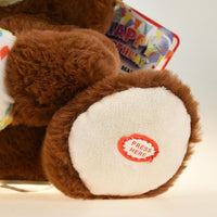 Make A Wish Happy Birthday Singing Bear Musical Teddy