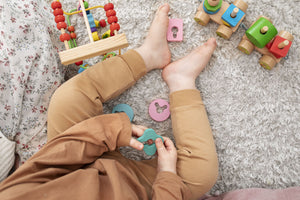 Educational toys for 6 month old