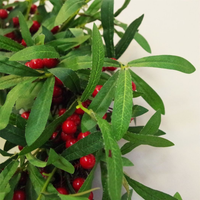 
              60cm (24") Large Luxury Christmas Mistletoe Leaf and Red Berry Floristry Wreath
            