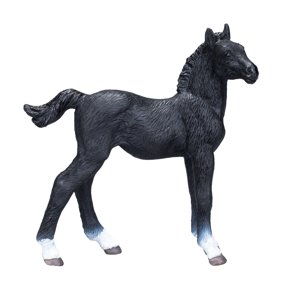 Hanoverian Foal Black Realistic Equestrian Figurine