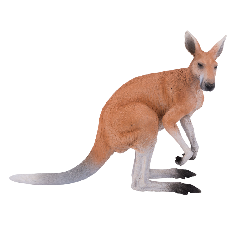 Kangaroo Toy Realistic Australian Wildlife Model