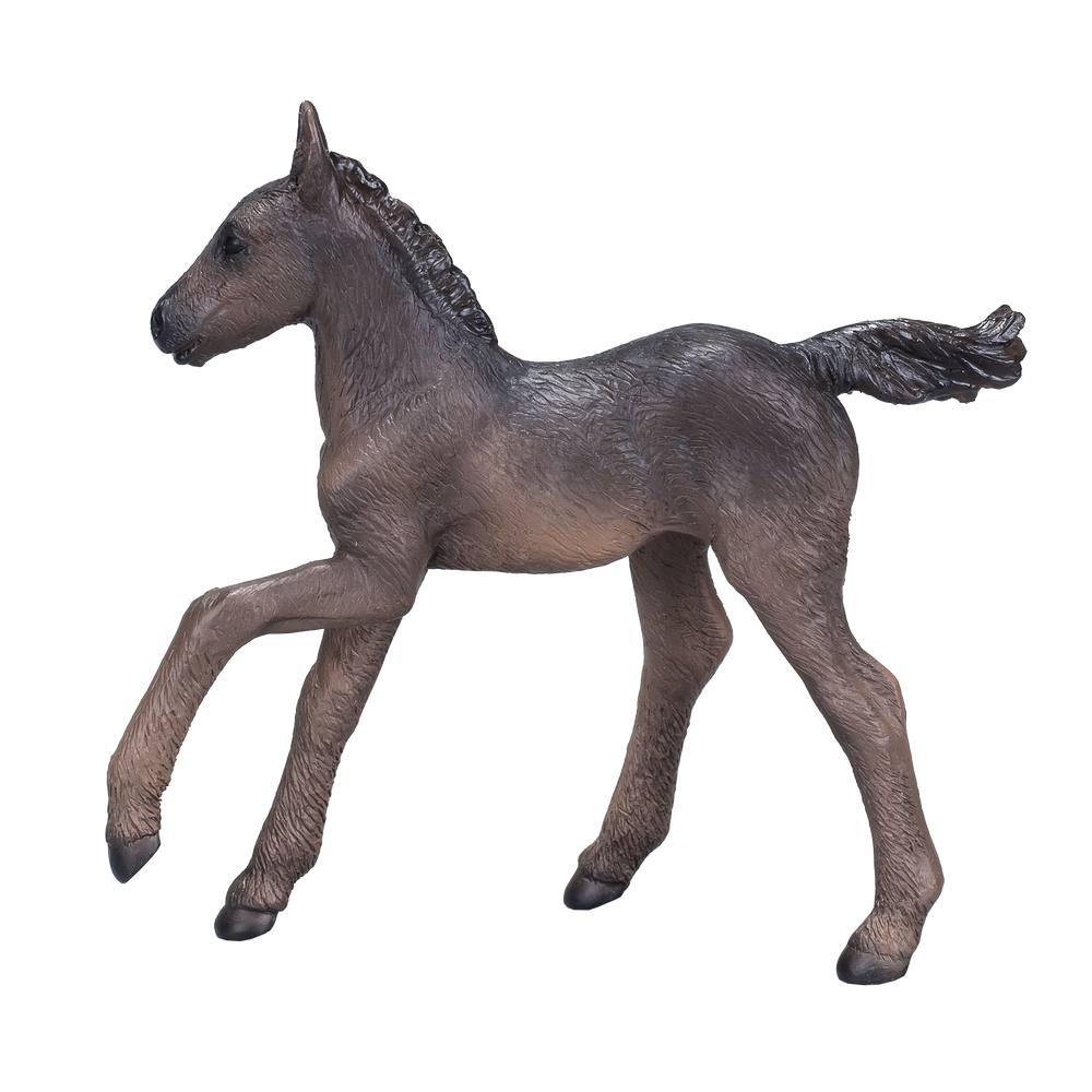 Arabian Foal Black Realistic Horse Model