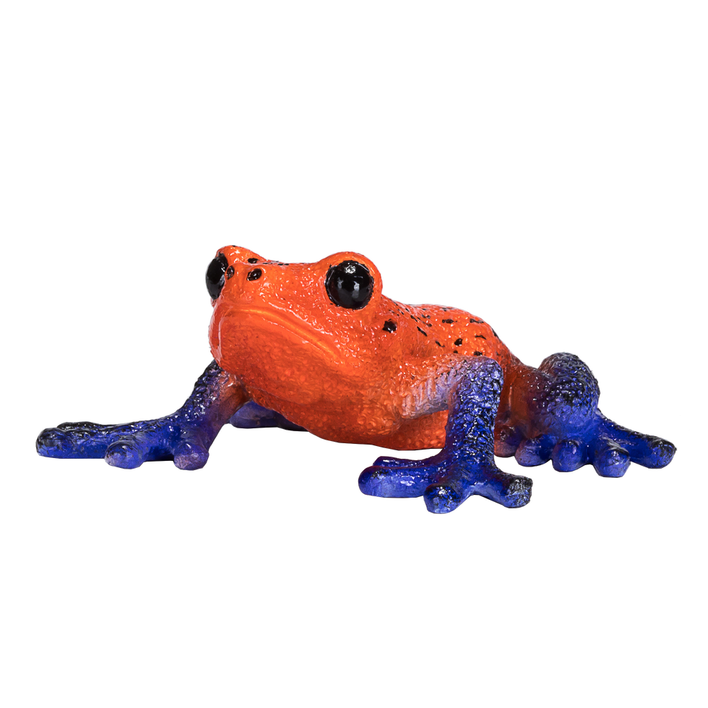 Poison Dart Tree Frog Toy Realistic Rainforest Amphibian Figure