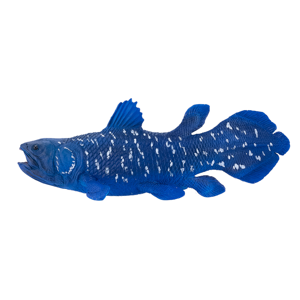 Coelacanth Toy Realistic Prehistoric Fish Model