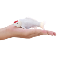 
              Koi Carp Tancho Toy Realistic Fish Figurine
            