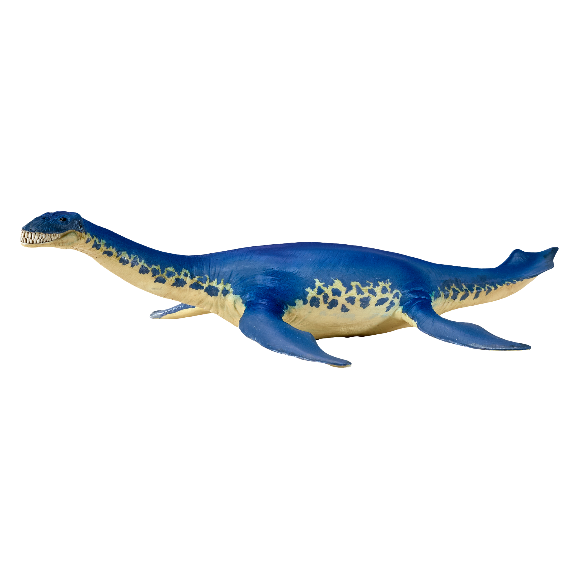 Cryptoclidus Dinosaur Toy Prehistoric Marine Reptile | ToySeek
