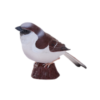 
              House Sparrow Bird Toy Realistic Wildlife Figurine
            