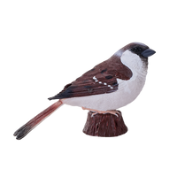 
              House Sparrow Bird Toy Realistic Wildlife Figurine
            