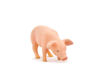 
              Piglet Feeding Toy Realistic Farmyard Animal Figure
            