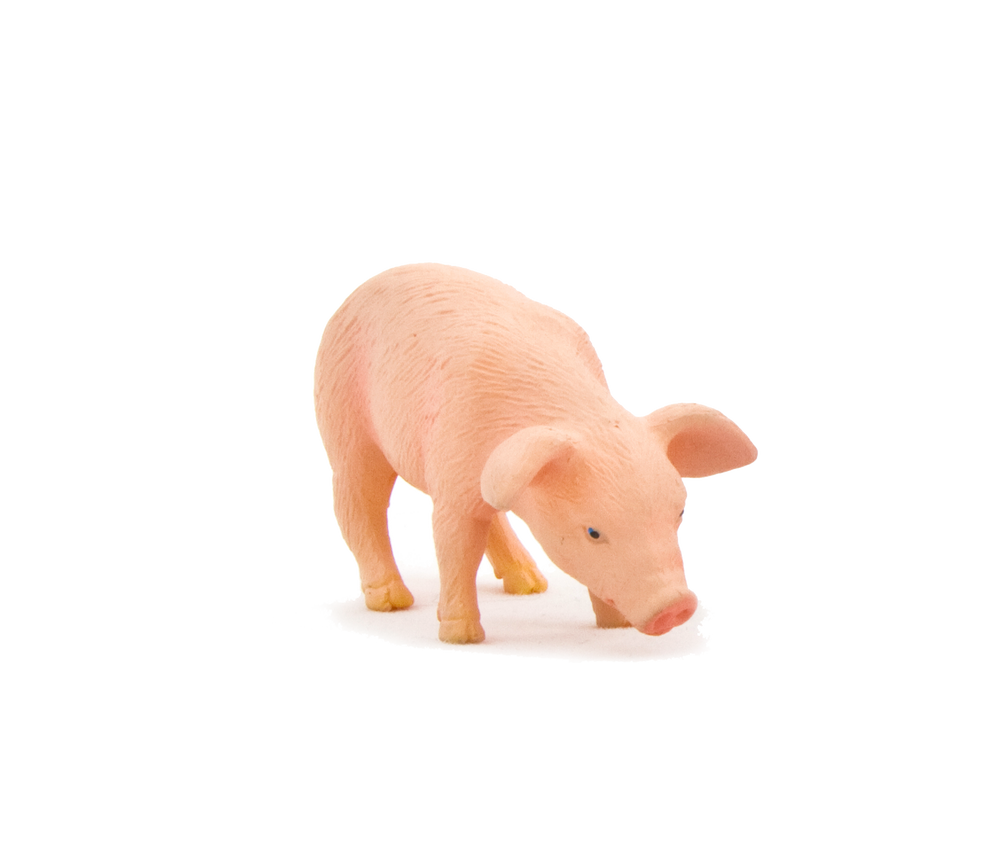 Piglet Feeding Toy Realistic Farmyard Animal Figure