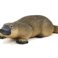 Duck-Billed Platypus Toy Realistic Australian Wildlife Model