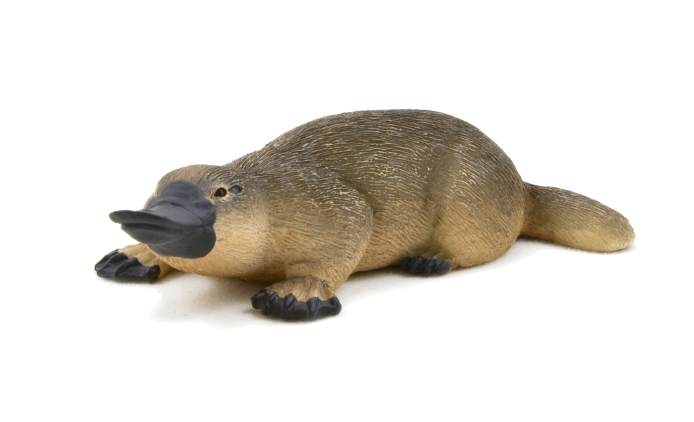 Duck-Billed Platypus Toy Realistic Australian Wildlife Model