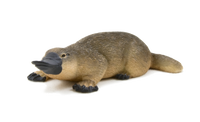 
              Duck-Billed Platypus Toy Realistic Australian Wildlife Model
            