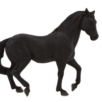 Andalusian Black Horse Toy Realistic Equestrian Model