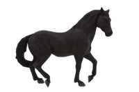 
              Andalusian Black Horse Toy Realistic Equestrian Model
            