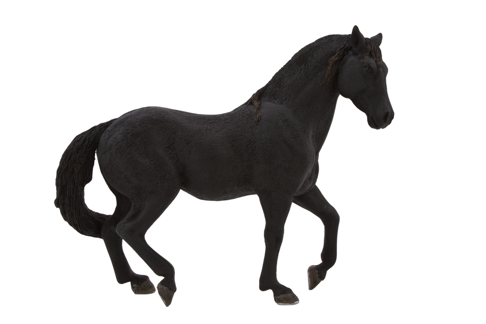 Andalusian Black Horse Toy Realistic Equestrian Model