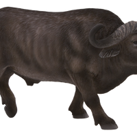 Cape Buffalo Toy Realistic African Wildlife Figurine