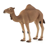 
              Arabian Camel Toy Realistic Desert Animal Model
            