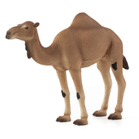 Arabian Camel Toy Realistic Desert Animal Model