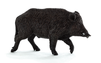 
              Wild Boar Male Toy Realistic Woodland Animal Model
            