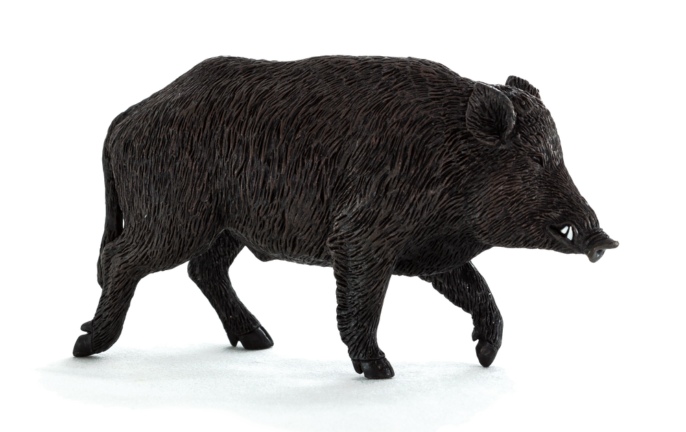 Wild Boar Male Toy Realistic Woodland Animal Model