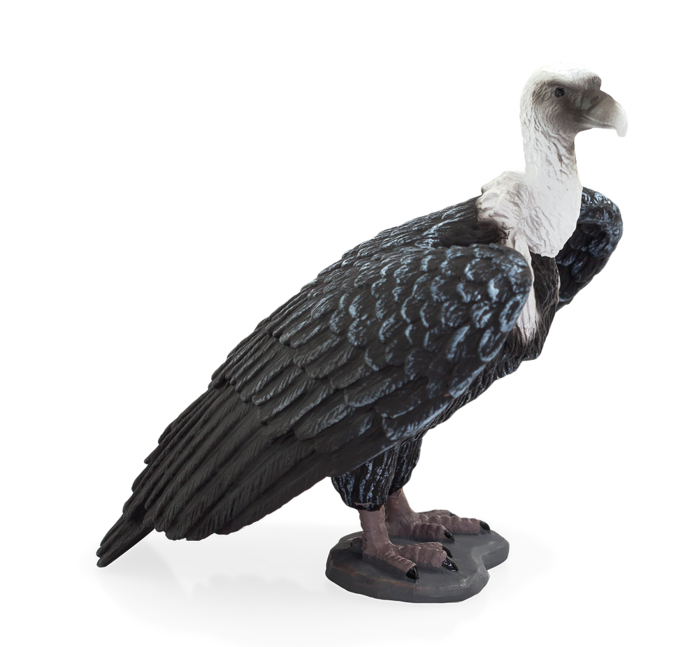 Griffon Vulture Toy Realistic Bird of Prey Figurine