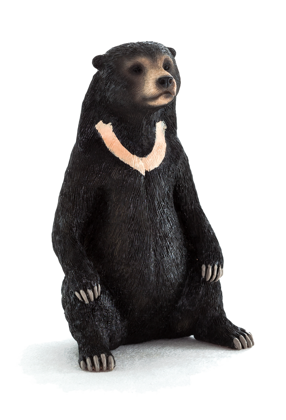 Sun Bear Toy Realistic Wildlife Animal Figurine