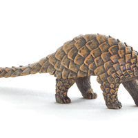 Indian Pangolin Toy Realistic Wildlife Figure