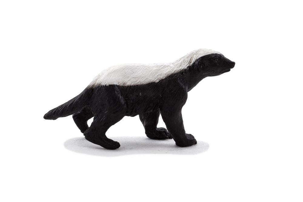 Honey Badger Male Toy Realistic Wildlife Figurine