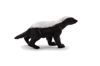 
              Honey Badger Male Toy Realistic Wildlife Figurine
            