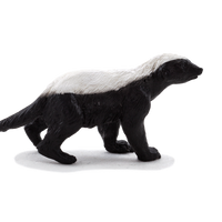 Honey Badger Male Toy Realistic Wildlife Figurine