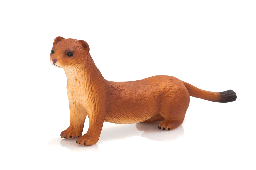 Stoat Toy Figure Realistic Small Mammal Model