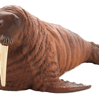 Walrus Toy Realistic Arctic Wildlife Figurine