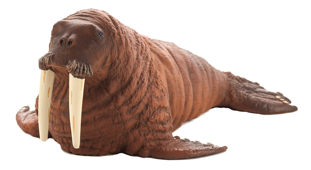 Walrus Toy Realistic Arctic Wildlife Figurine