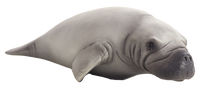 
              Manatee Toy Realistic Marine Mammal Figurine
            