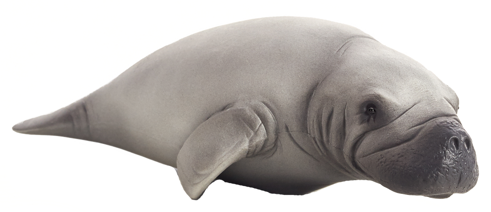 Manatee Toy Realistic Marine Mammal Figurine