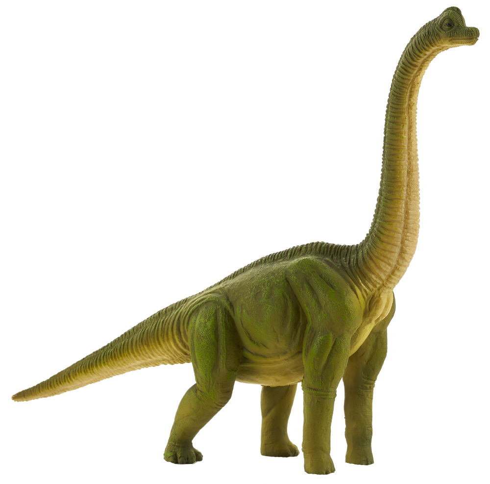 Brachiosaurus Dinosaur Toy Realistic Prehistoric Model