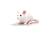 
              Mouse Toy Realistic Small Animal Figurine
            