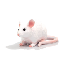 Mouse Toy Realistic Small Animal Figurine