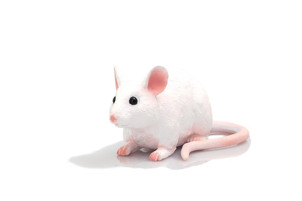 Mouse Toy Realistic Small Animal Figurine