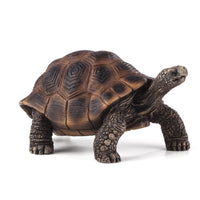 Giant Tortoise Toy Realistic Reptile Model