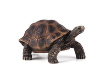 
              Giant Tortoise Toy Realistic Reptile Model
            