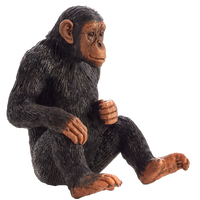 Chimpanzee Toy Realistic Wildlife Animal Model