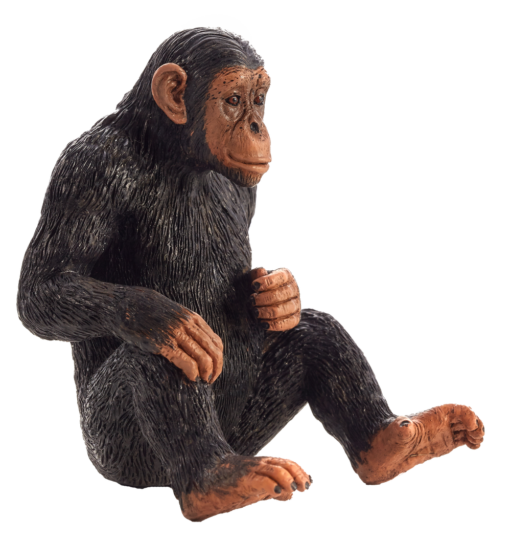 Chimpanzee Toy Realistic Wildlife Animal Model