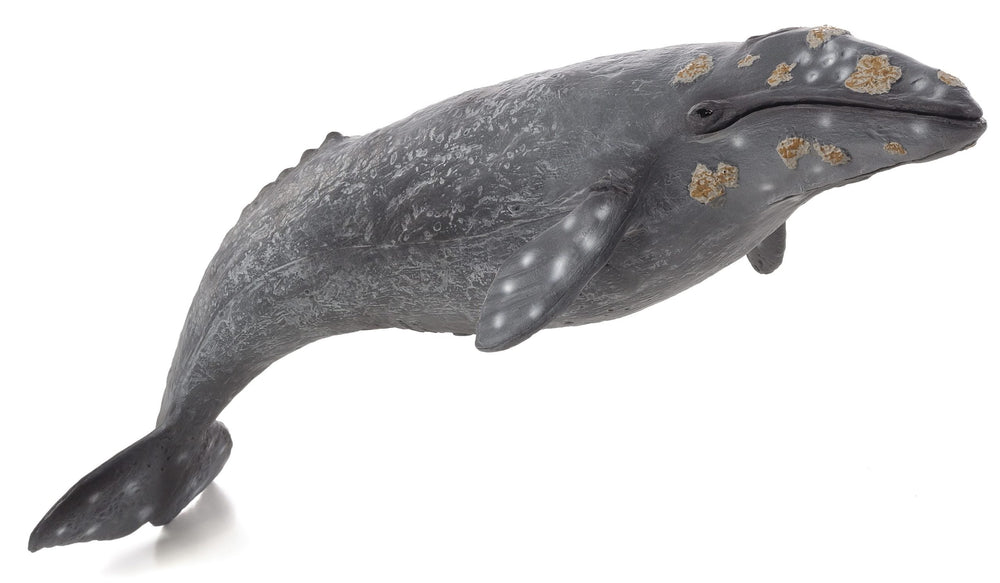 Gray Whale Toy Realistic Ocean Animal Model