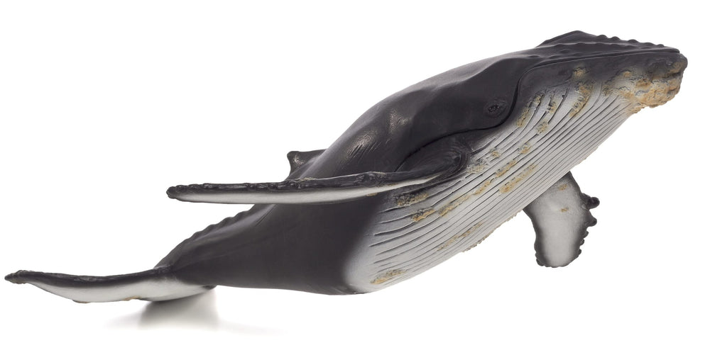 Deluxe Humpback Whale Toy Large Marine Animal Model