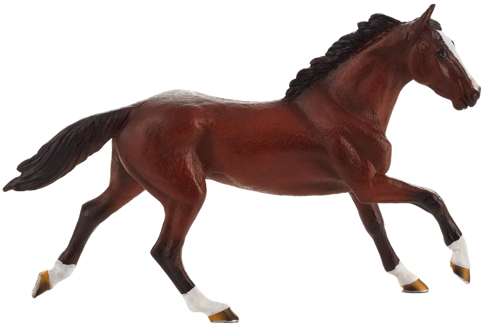 Thoroughbred Horse Toy Realistic Equestrian Model