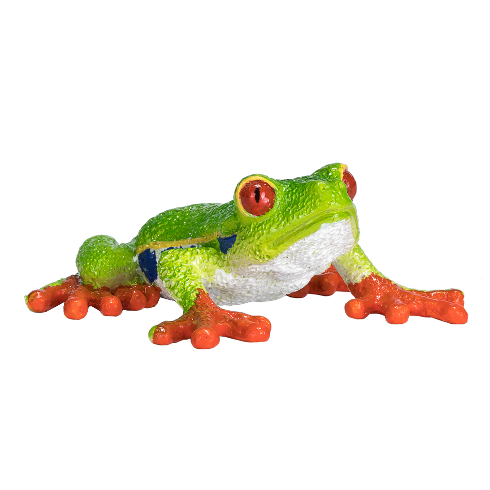 Red-Eyed Tree Frog Toy Realistic Rainforest Amphibian Figure