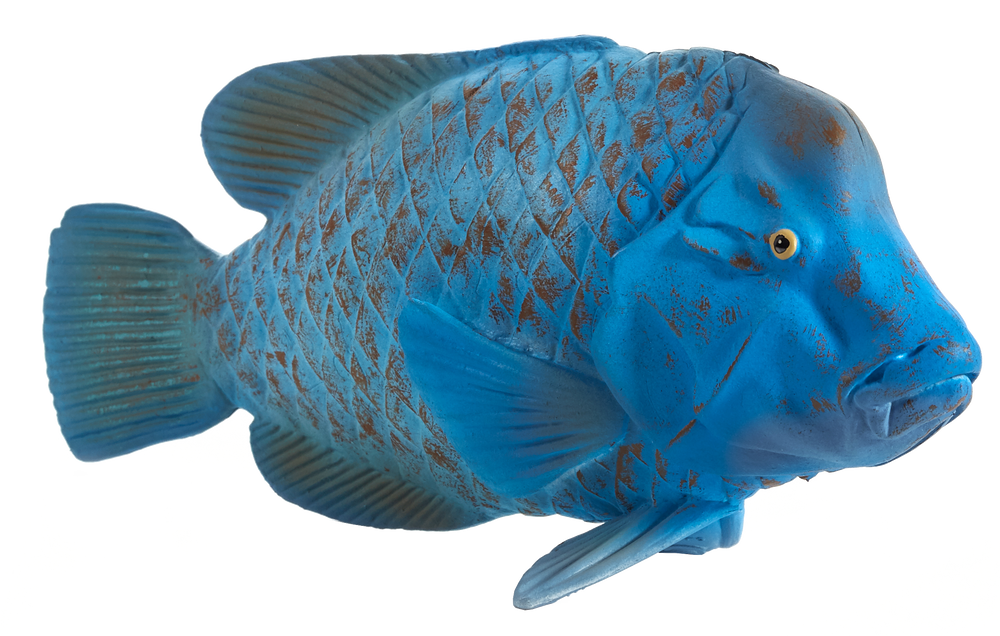 Blue Groper Fish Toy Realistic Ocean Animal Figure